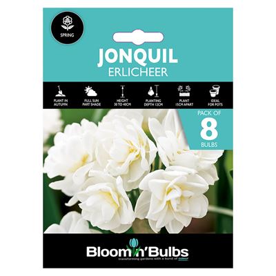 Picture of JONQUIL ERLICHEER 8pk