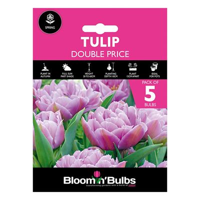 Picture of TULIP DOUBLE PRICE 5pk