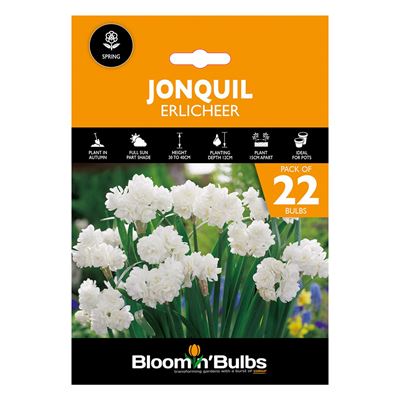 Picture of JONQUIL ERLICHEER 22PK