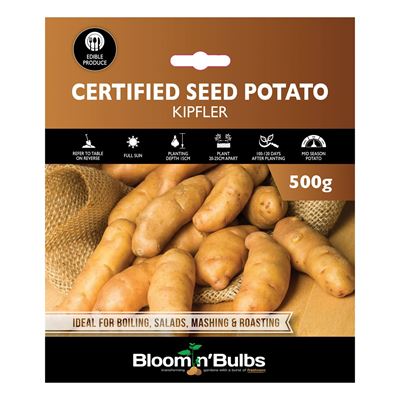 Picture of CERT. SEED POTATO-KIPFLER 500g