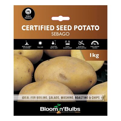 Picture of CERT. SEED POTATO-SEBAGO 1kg