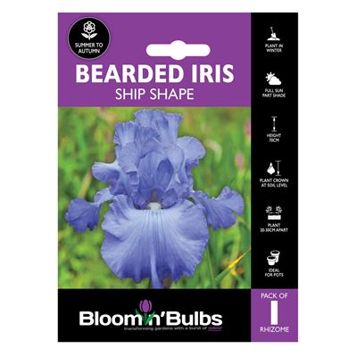 Picture of BEARDED IRIS SHIP SHAPE 1pk