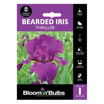 Picture of BEARDED IRIS THRILLER 1pk