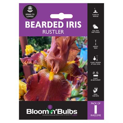 Picture of BEARDED IRIS RUSTLER 1pk