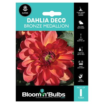 Picture of DAHLIA BRONZE MEDALLION 1pk