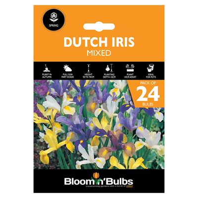 Picture of DUTCH IRIS MIXED 24PK