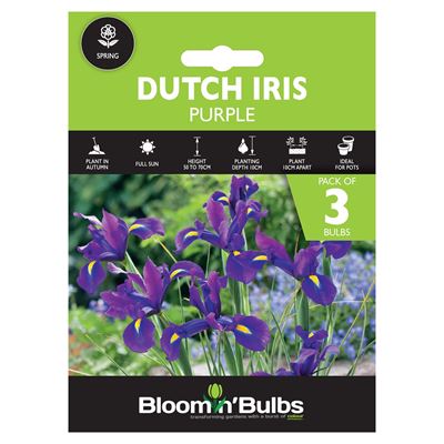 Picture of DUTCH IRIS PURPLE 3PK 