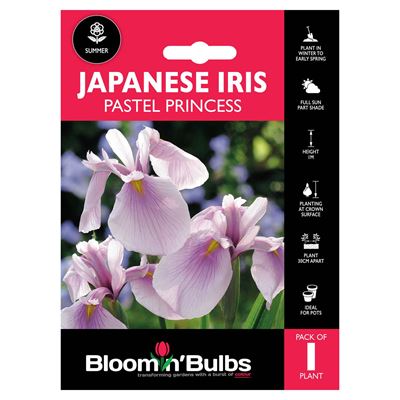 Picture of JAPANESE IRIS PASTEL PRINCESS 1pk