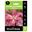 Picture of LILIUM ARBATAX 2pk