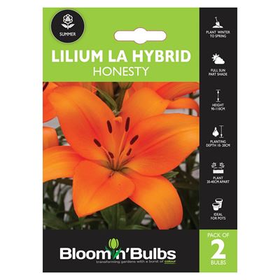 Picture of LILIUM HONESTY 2pk