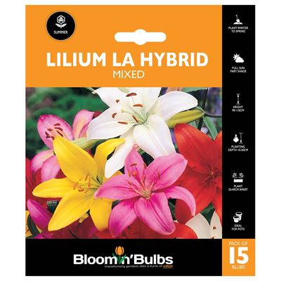 Picture of LILIUM LA HYBRID MIXED 15pk