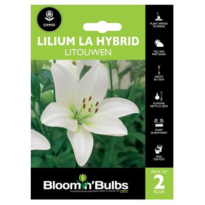 Picture of LILIUM LITOUWEN 2pk