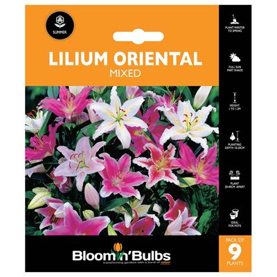 Picture of LILIUM ORIENTAL MIXED 9pk