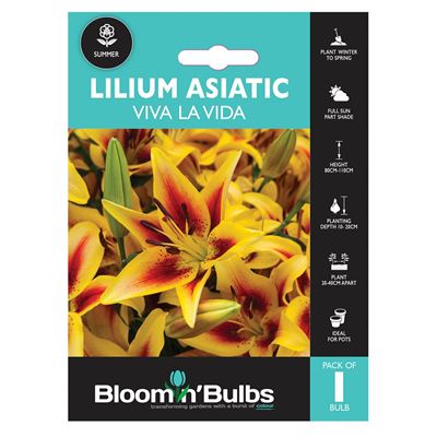 Picture of LILIUM VIVA LA VIDA 1PK