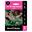 Picture of LILY OF THE VALLEY PINK 2pk