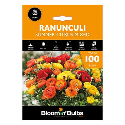 Picture of RANUNCULI SUMMER CITRUS MIXED 100PK