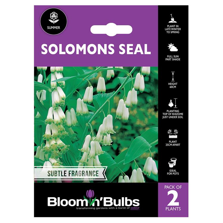 Picture of SOLOMONS SEAL 2pk