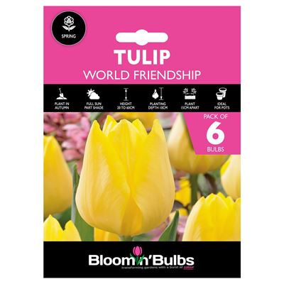 Picture of TULIP WORLD FRIENDSHIP 6pk