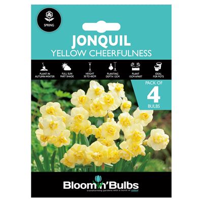 Picture of JONQUIL YELLOW CHEERFULNESS 4pk