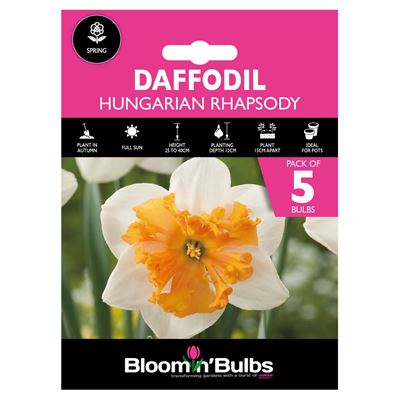 Picture of DAFFODIL HUNGARIAN RHAPSODY 5pk