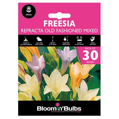 Picture of FREESIA REFRACTA O/F MIXED 3pk