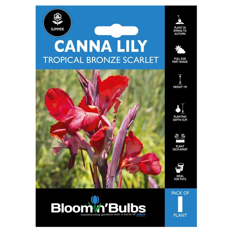 Picture of CANNA LILY TROPICAL BRONZE SCARLET 1pk