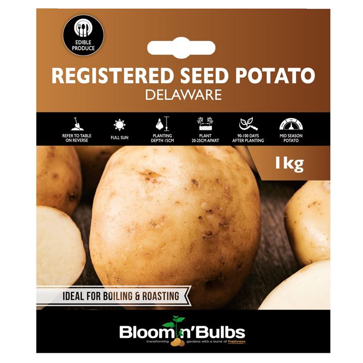 Picture of CERT. SEED POTATO-DELAWARE 1kg