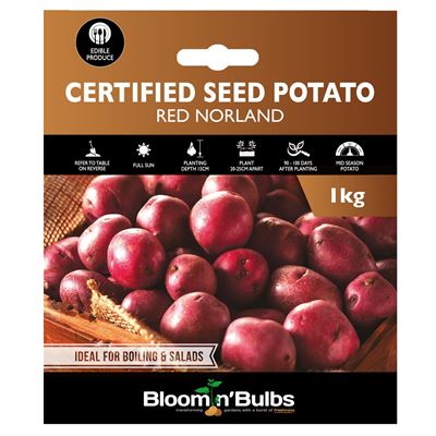 Picture of CERT. SEED POTATO-RED NORLAND 1kg