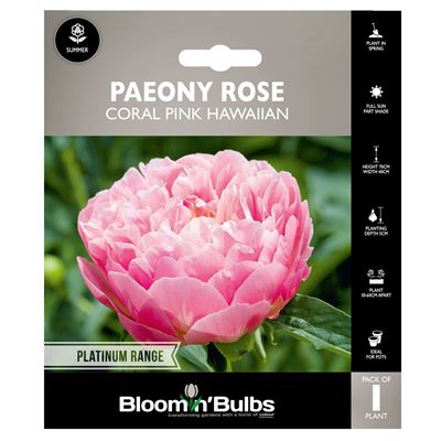 Picture of PAEONY ROSE CORAL PINK HAWAIIN 1pk