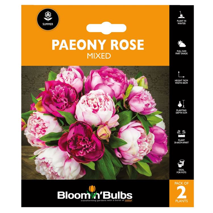 Picture of PAEONY ROSE MIXED 2pk