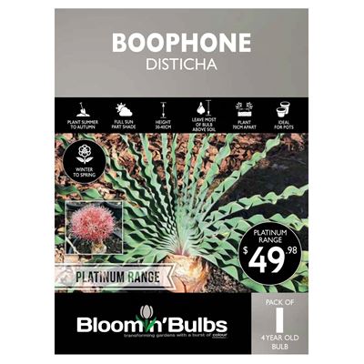 Picture of BOOPHONE DISTICHA 1PK