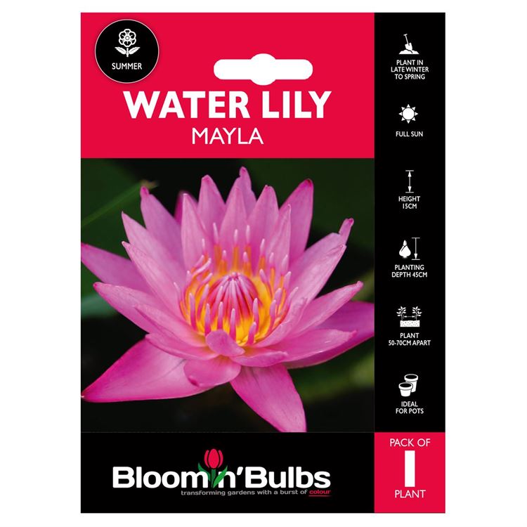 Picture of WATER LILY MAYLA 1pk