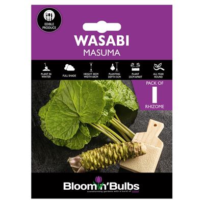 Picture of B/B WASABI 1pk