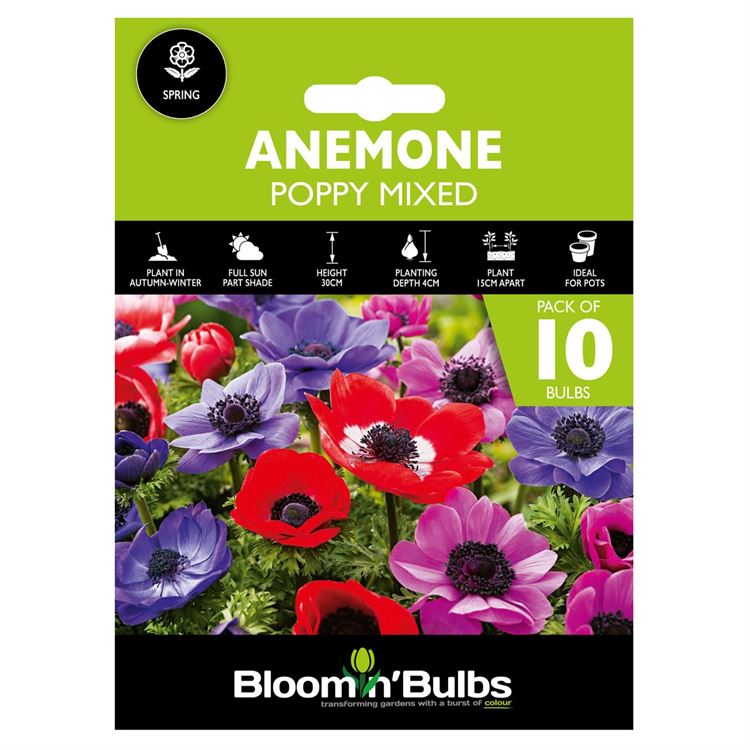 Picture of ANEMONE POPPY MIXED 10pk