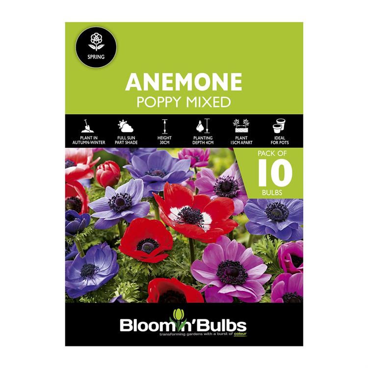Picture of ANEMONE POPPY MIXED 10pk
