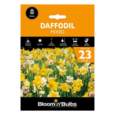 Picture of DAFFODIL GARDEN MIXED 23PK