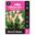 Picture of CALLA LILY DREAMLAND 1pk