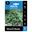 Picture of HOSTA DEW DROP 1pk