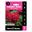Picture of PAEONY ROSE RED ROBIN 1pk