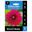 Picture of DAHLIA BURGUNDY BALL 1pk