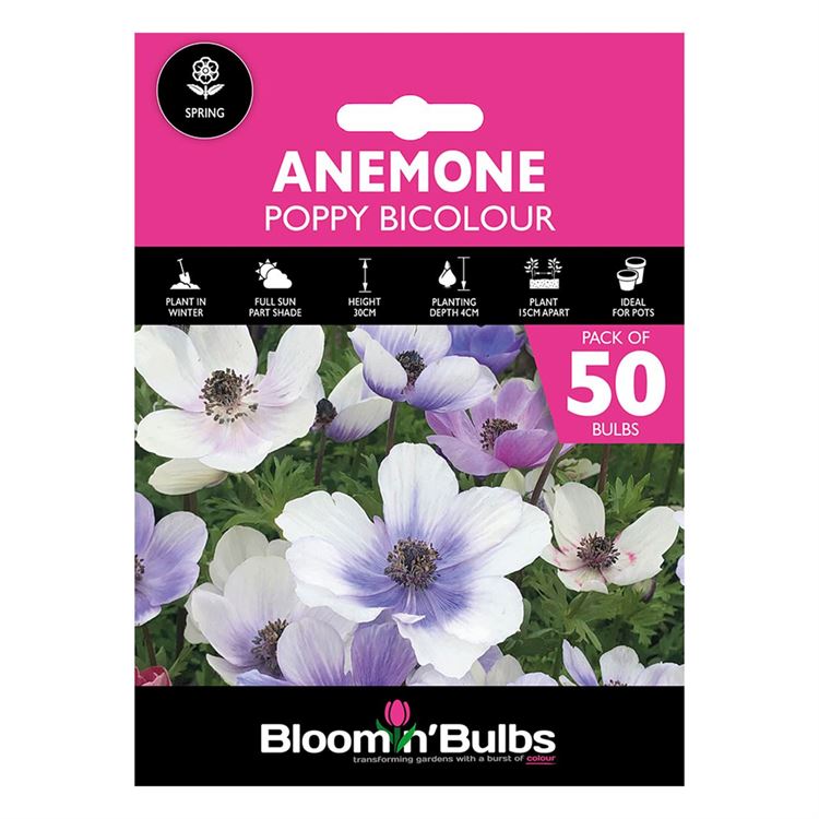 Picture of ANEMONE POPPY BI COLOUR 50pk