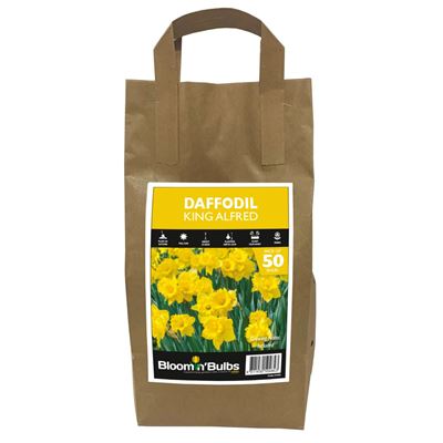 Picture of DAFFODIL KING ALFRED 50pk BULK DEAL