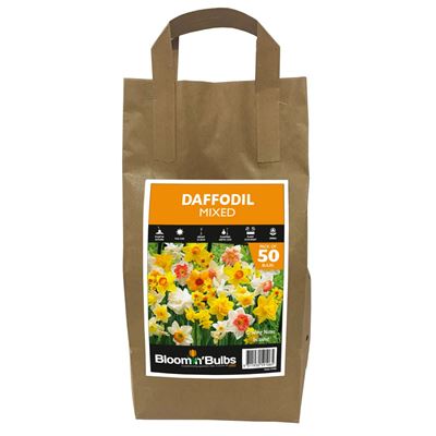 Picture of DAFFODIL MIXED 50pk BULK DEAL