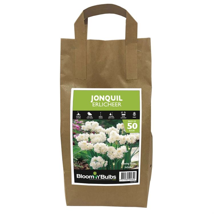 Picture of JONQUIL ERLICHEER 50pk BULK DEAL