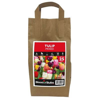 Picture of TULIP MIXED 25pk BULK DEAL