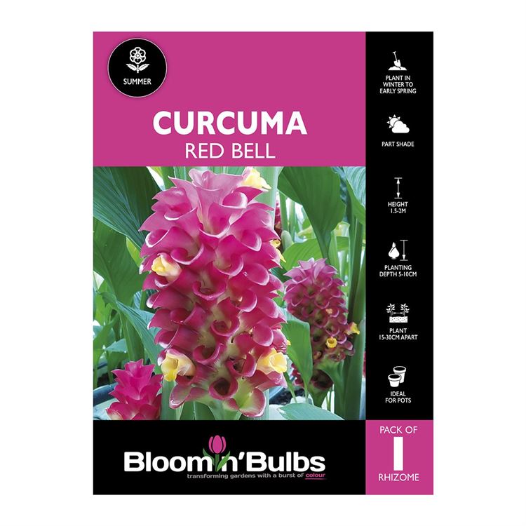 Picture of Curcuma Red Bell 1 Pack