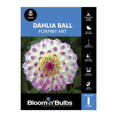 Picture of Dahlia Formby Art 1 Pack