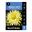 Picture of Dahlia Gay Bright Eyes 1 Pack