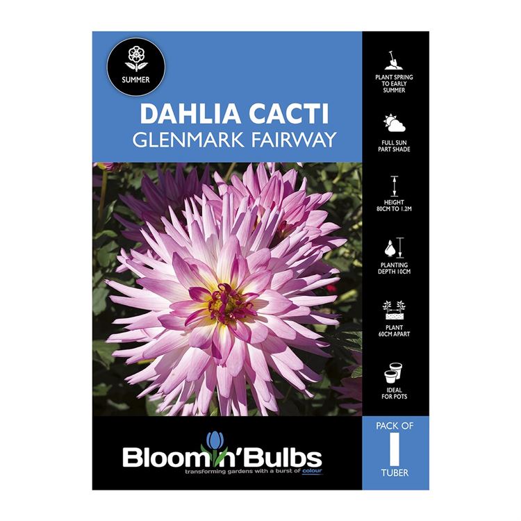 Picture of Dahlia Glenmark Fairway 1 Pack
