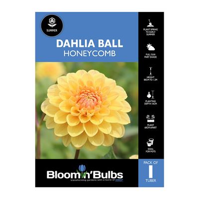 Picture of Dahlia Honeycomb 1 Pack